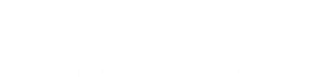 Sol de Julio - Colegio Laico Integral